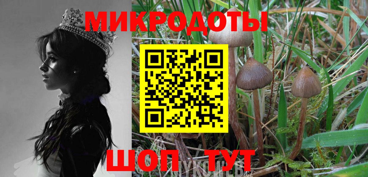 Псилоцибиновые грибы мухоморы  Вход с VPN  Галлюциногенные грибы Cubensis  Кудрово 