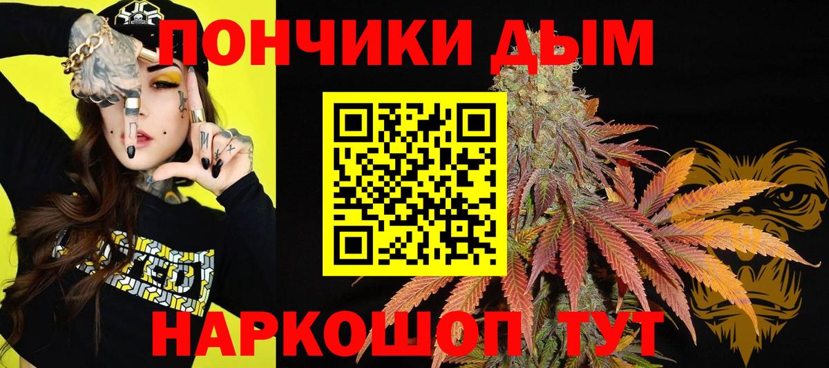 Каннабис сатива Кудрово